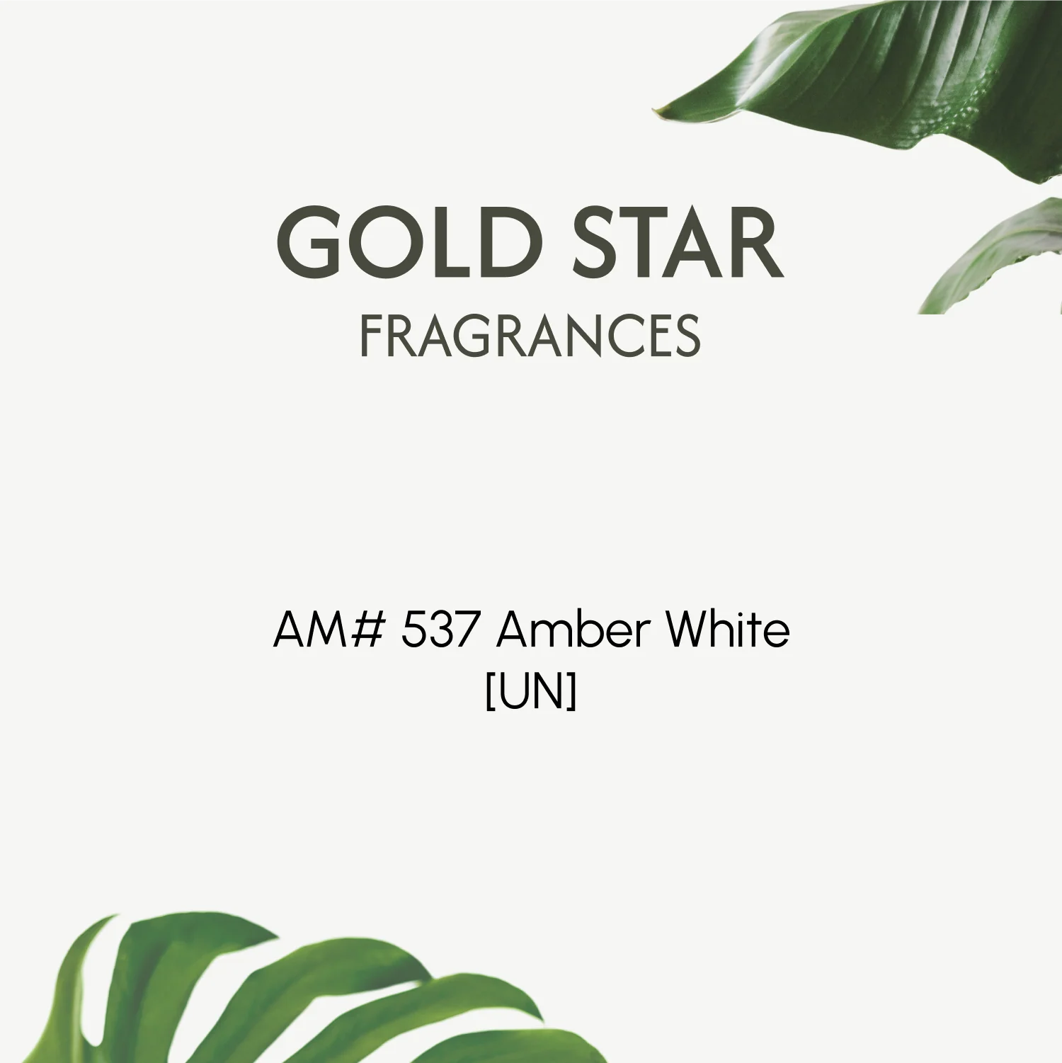 AM# 537 Amber White [UN] - Image 2