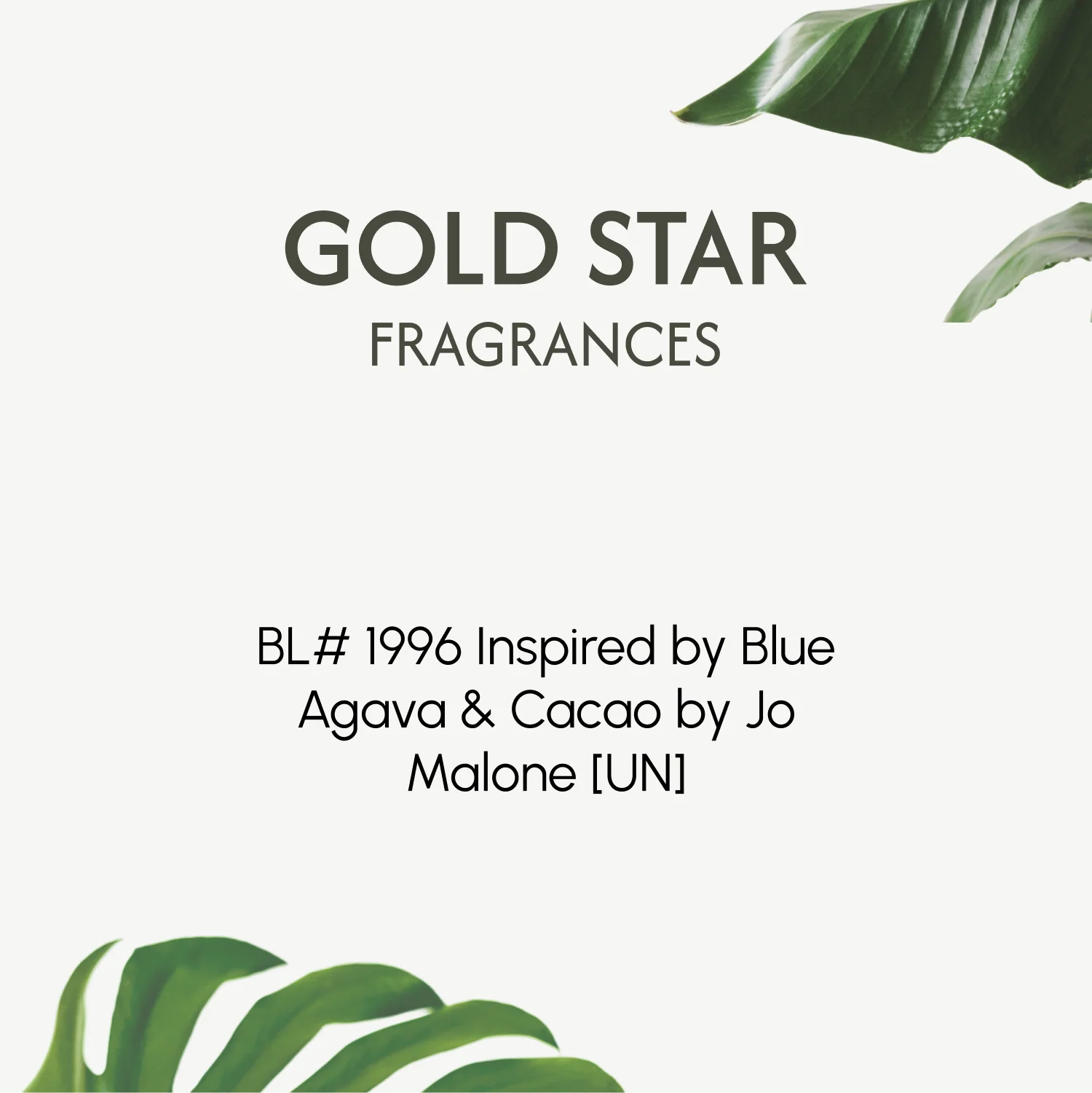 BL# 1996 Inspired by Blue Agava & Cacao by Jo Malone [UN] - Image 2