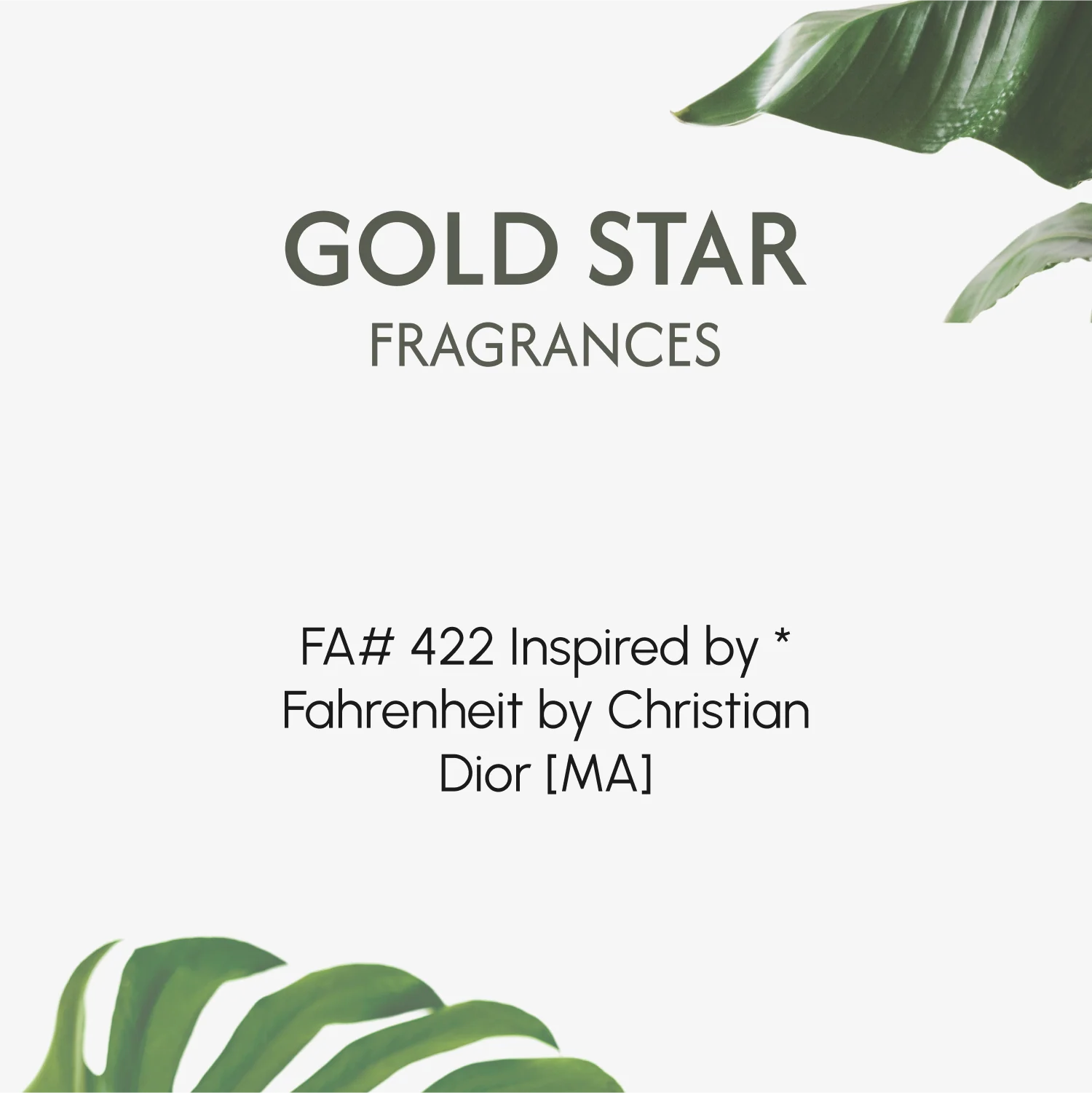 FA# 422 Inspired by * Fahrenheit by Christian Dior [MA] - Image 2