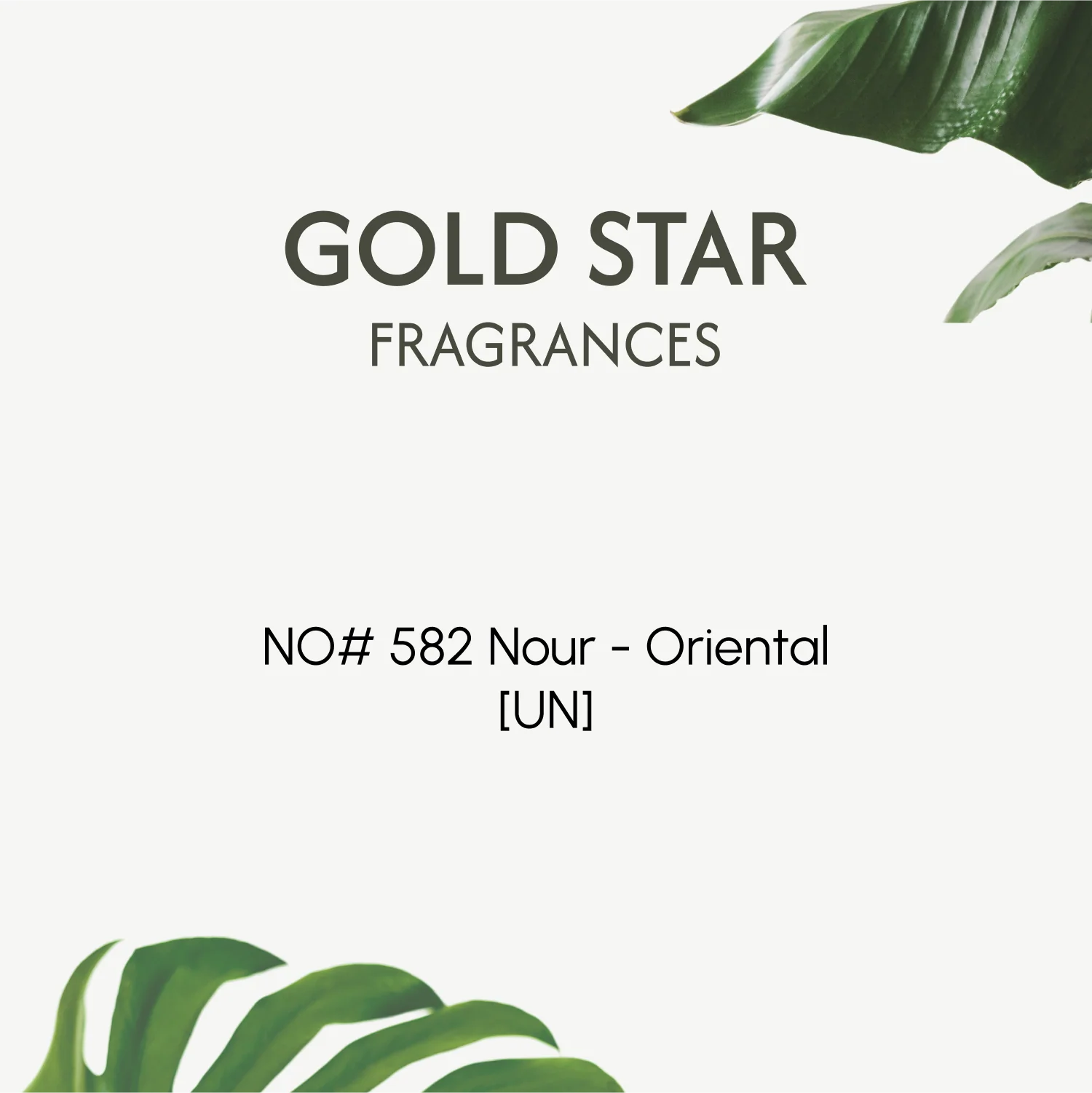 NO# 582 Nour - Oriental [UN] - Image 2